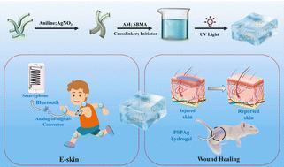 Flexible and antibacterial conductive hydrogels based on silk fibroin/polyaniline/AgNPs for motion sensing and wound healing promotion under electrical stimulation