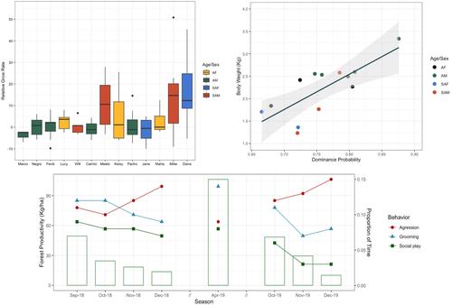 Body Mass Gain in Wild Brown Capuchins (Sapajus apella) in Relation to Fruit Production and Social Dominance