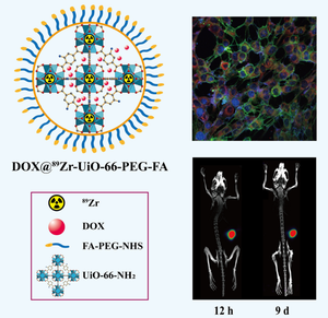 89Zr PET imaging guided validation of the medicinal potentiality of UiO-66 based nano drug delivery system