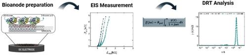 Electrochemical Impedance Spectroscopy as a Characterization Method for Enzymatic Fuel Cell Bioanodes