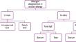 Allergen Testing: A Review of the Indications, Procedures, and Limitations in Ocular Allergy