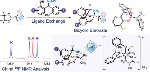 19F NMR-Based Chiral Analysis of Organoboron Compounds via Chiral Recognition of Fluorine-Labeled Boronates with Cobalt Complexes