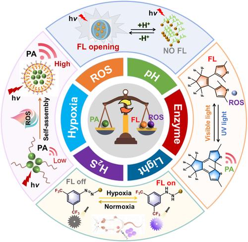 Smart molecular probes with controllable photophysical property for smart medicine