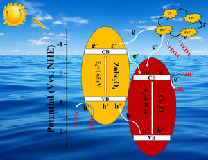 The Construction of Type II Cu2O/ZnFe2O4 Heterojunction Promoted the Photocatalytic Hydrogen Production Activity