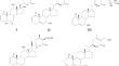 Withanolides of the Aerial Part of Datura stramonium Growing in Uzbekistan and Cytotoxicity of Daturametelin H