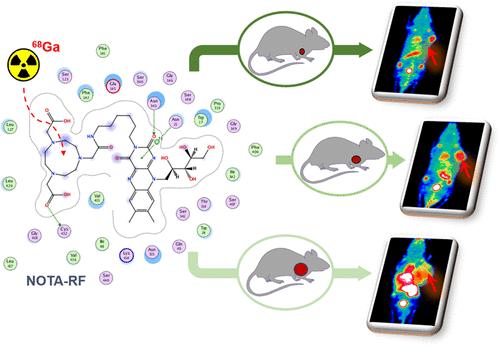 Development and Evaluation of [68Ga]Ga-Labeled Riboflavin Derivative for RFVT3-Targeted PET Imaging of Melanoma in Mice