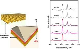 Polymer chain transport investigated using surface enhanced Raman spectroscopy: monitoring of diffusion kinetics on meso-structured plasmonic substrates