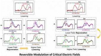 Reversible modulation of critical electric fields for a field-induced ferroelectric effect with field-cycling in ZrO2 thin films†