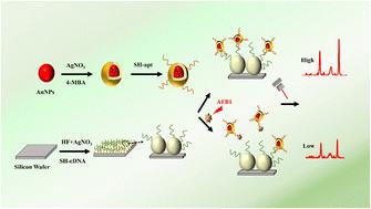 A silicon-based functional self-assembled aptasensor for the detection of aflatoxin B1 by SERS sensing