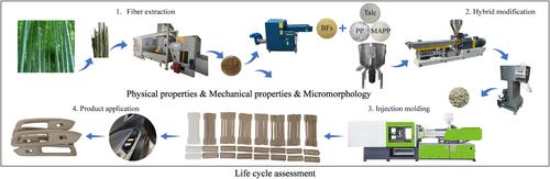 Forming performance and environmental impact of bamboo fiber reinforced polypropylene composites based on injection molding process for automobiles