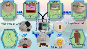 Biodegradable, biocompatible, and self-healing, injectable hydrogel based on oxidized Azadirachta indica gum and carboxymethyl chitosan through dynamic imine-linkage for biomedical application