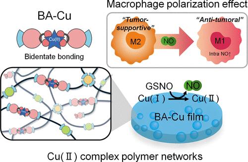 Cu(II)-Organic Coordination Polymer Networks for Persistent Nitric Oxide Release in Tumor Therapy