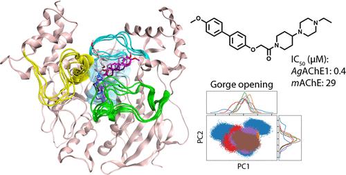 Enzyme Dynamics Determine the Potency and Selectivity of Inhibitors Targeting Disease-Transmitting Mosquitoes