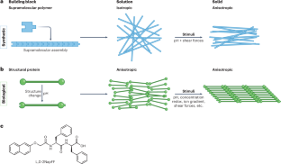 External forces align supramolecular materials