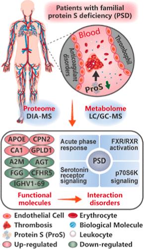 Proteome and Metabolome Profiling of Anticoagulant Disorders Induced by Familial Protein S Deficiency