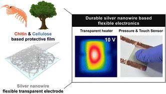 Durable silver nanowire transparent electrodes enabled by biorenewable nanocoating using chitin and cellulose nanofibers for flexible electronics