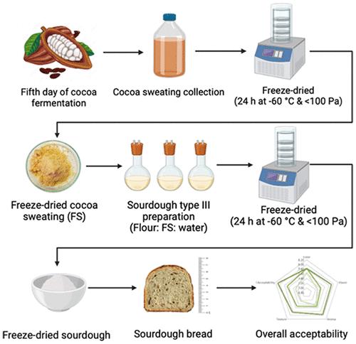 Impact of Freeze-Dried Cocoa Sweating on Wheat Sourdough Bread Quality