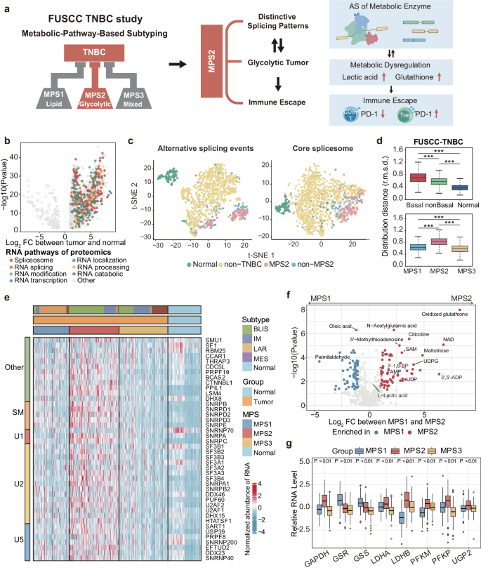 Targeting SNRNP200-induced splicing dysregulation offers an immunotherapy opportunity for glycolytic triple-negative breast cancer