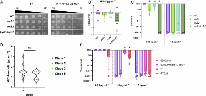 Adaptation mechanisms of Clostridioides difficile to auranofin and its impact on human gut microbiota