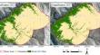 Spatial dynamics and drivers of recent changes in grass and shrub cover in submontane grassland plant communities