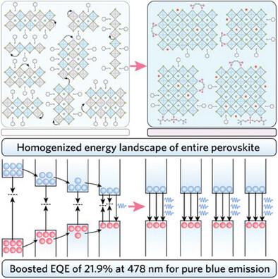 Homogenizing Energy Landscape for Efficient and Spectrally Stable Blue Perovskite Light-Emitting Diodes