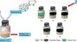 Bioaugmentation with Rumen Fluid to Improve Acetic Acid Production from Kitchen Waste