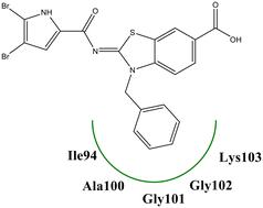 New ATP-competitive inhibitors of E. coli GyrB obtained from the mapping of the hydrophobic floor at the binding site: synthesis and biological evaluation