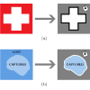 Efficient algorithms for dynamic aperture and momentum acceptance calculation in synchrotron light sources