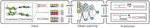 Predicting DNA Reactions with a Quantum Chemistry-Based Deep Learning Model