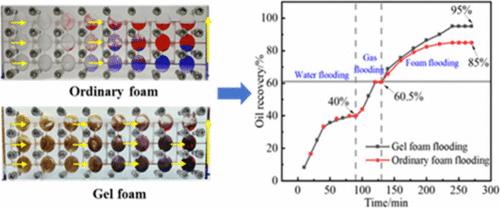 Visualization Experimental Investigation on Flow Regulation and Oil Displacement Characteristics of Gel Foam in Fractured-Vuggy Carbonate Reservoirs