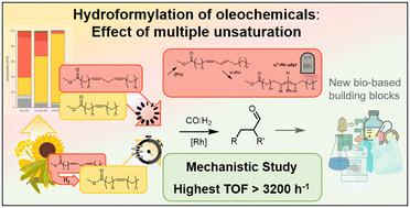 The effect of polyunsaturation – insights into the hydroformylation of oleochemicals