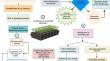 Plant growth-promoting rhizobacteria biochemical pathways and their environmental impact: a review of sustainable farming practices