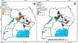 First evidence on the occurrence of multi-mycotoxins and dietary risk exposure to AFB1 along the cassava value chain in Uganda