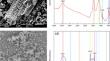 Remediation of Field Agricultural Soil Contaminated with Both Heavy Metals and Veterinary Antibiotics by a Degrading Strain-biochar Composite at Different Temperatures and Combinative Conditions