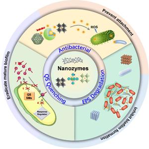 Application of nanozymes in problematic biofilm control: progress, challenges and prospects