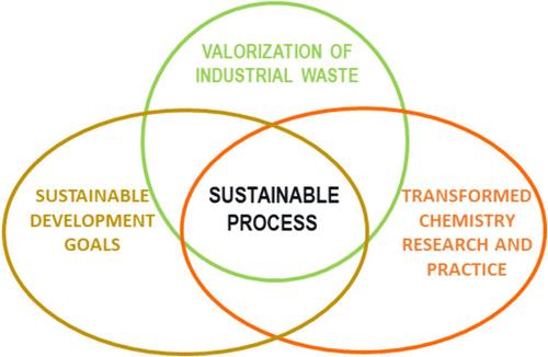 Integration of Teaching Laboratory Activities Based on the Valorization of Industrial Waste into Chemical Education to Address the Emerging Sustainable Development Goals