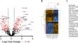 Effects of Azithromycin on Blood Inflammatory Gene Expression and Cytokine Production in Sarcoidosis