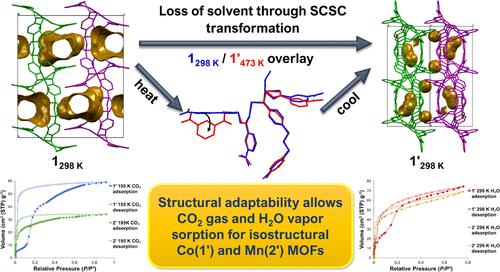 Variation in the Sorption Properties of a Pair of Highly Flexible, Isostructural MOFs Exhibiting Single-Crystal-to-Single-Crystal Transformations Rarely Observed in MOFs Based on a Linear Co3/Mn3 Trinuclear Cluster