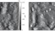 Photoelectric Characteristics and Surface Morphology of Cadmium Sulfide Modified by Iron Arachinate