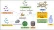 Understanding microbial biomineralization at the molecular level: recent advances