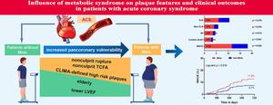 Influence of metabolic syndrome on plaque features and clinical outcomes in patients with acute coronary syndrome