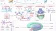 Sleep Disturbances in Autoimmune Neurological Diseases: Mechanisms, Clinical Characteristics, Assessment, and Treatment Strategies