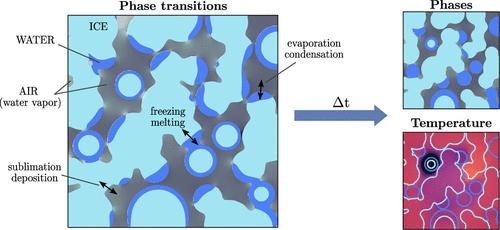 A Phase-Field Model for Wet Snow Metamorphism