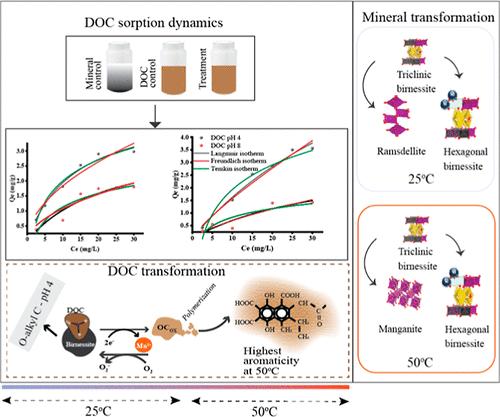 Temperature and pH Affect the Sorption and Transformation of Dissolved Organic Carbon by Birnessite