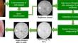 Principal component fusion based unexposed biological feature enhancement of fundus images