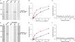 Development of genogroup-specific ELISAs based on the VP1 protein to detect antibodies to GIV and GVI feline norovirus