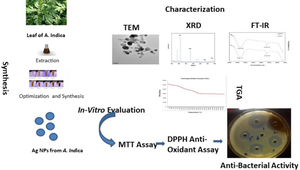 Optimized green synthesis of biocompatible Ag nanostructures using Artemisia Indica leaf extract: a promising avenue for biomedical applications