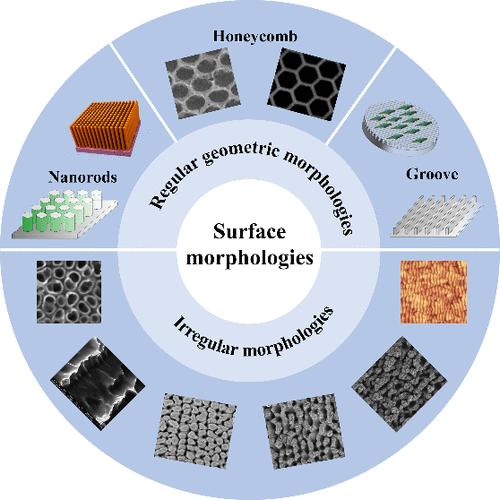 Effect of Surface Morphologies on the In Vitro and In Vivo Properties of Biomedical Metallic Materials