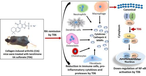 Immune regulatory and anti-resorptive activities of tanshinone IIA sulfonate attenuates rheumatoid arthritis in mice