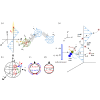 Efficient navigation of cargo-towing microswimmer in non-uniform flow fields